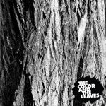 Cover for 'Tree', by The Color and the Leaves