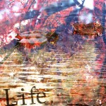 Life