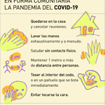 Pandemic recommendations 1